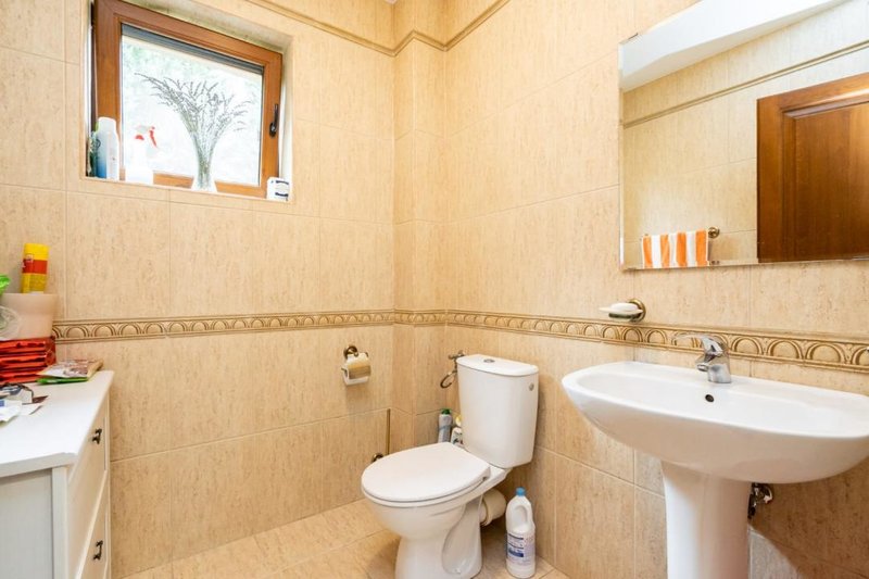 Vila Bucurestii Noi- Damaroaia- Lacul Grivita